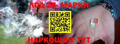 прущие грибы Краснознаменск