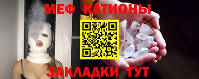 прущие грибы Краснознаменск
