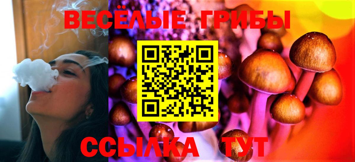 Галлюциногенные грибы Magic Shrooms  Галлюциногенные грибы ЛСД  Вход с VPN  Каспийск 